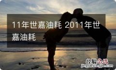 11年世嘉油耗 2011年世嘉油耗