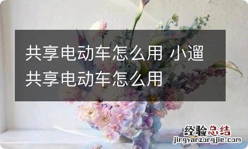 共享电动车怎么用 小遛共享电动车怎么用