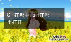 Siri在哪里siri在哪里打开