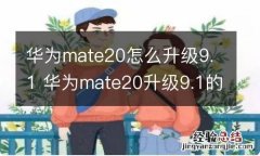 华为mate20怎么升级9.1 华为mate20升级9.1的方法