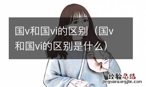 国v和国vi的区别是什么 国v和国vi的区别