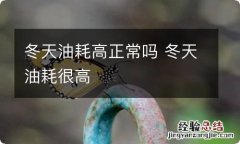 冬天油耗高正常吗 冬天油耗很高