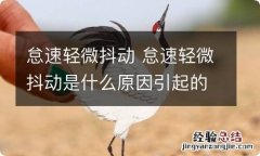 怠速轻微抖动 怠速轻微抖动是什么原因引起的