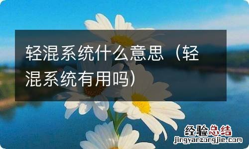 轻混系统有用吗 轻混系统什么意思