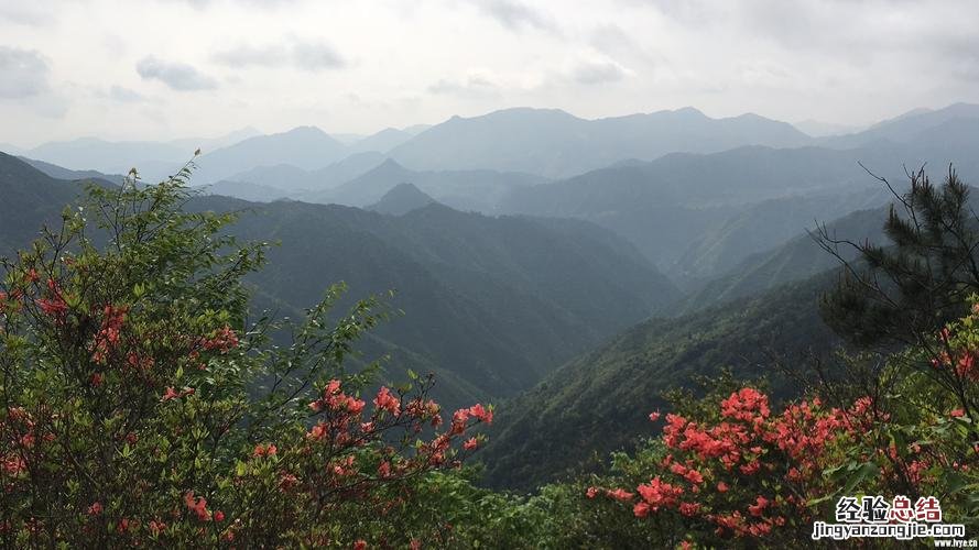 庆元百山祖海拔多少