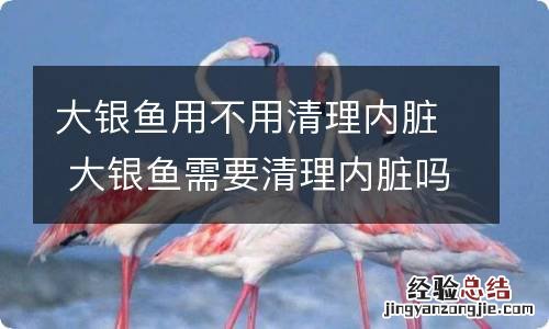 大银鱼用不用清理内脏 大银鱼需要清理内脏吗