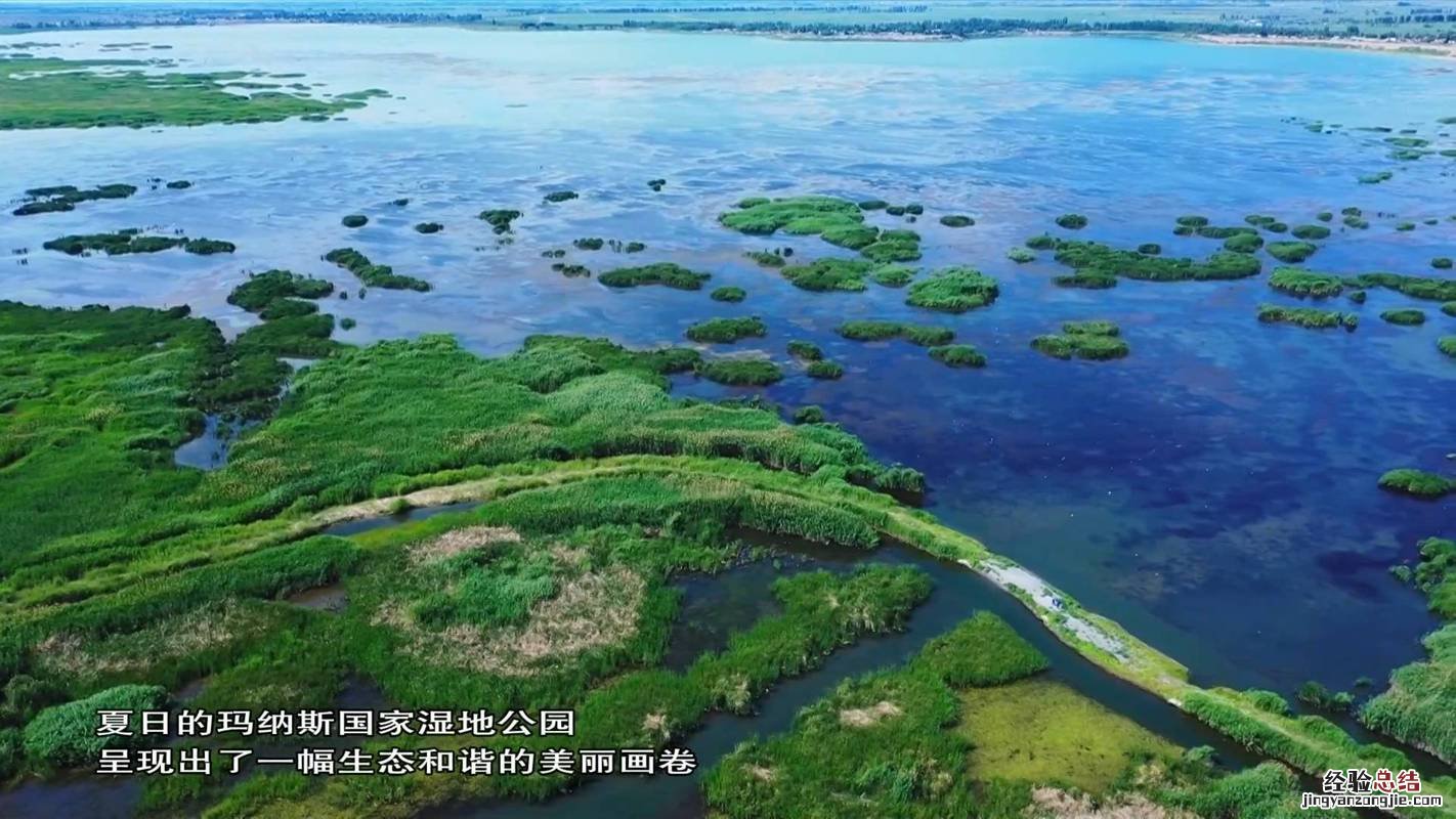 第一个湿地公园是哪里