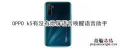 OPPO k5有没有熄屏语音唤醒语音助手