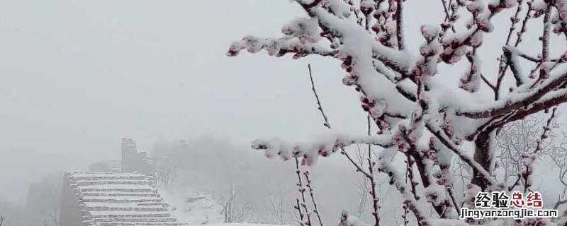 立春后下的雪叫什么雪