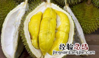 大批榴莲储存方法 大量榴莲储存方法