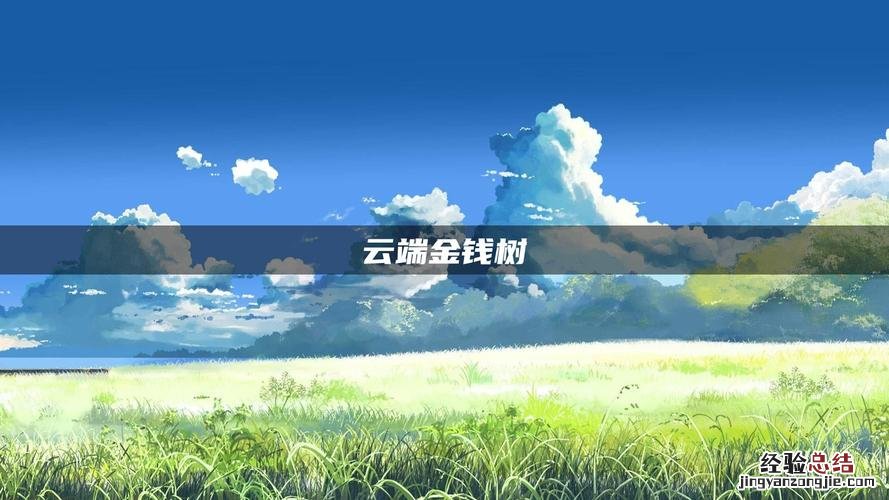 金钱树的价格多少