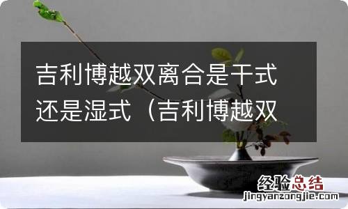 吉利博越双离合器是干式还是湿式 吉利博越双离合是干式还是湿式