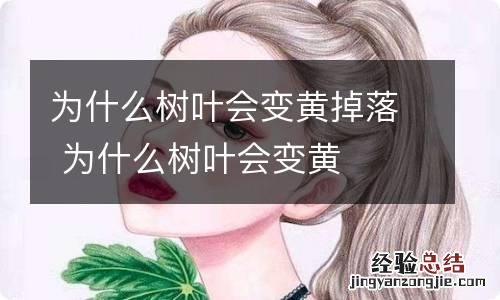 为什么树叶会变黄掉落 为什么树叶会变黄