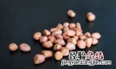 花生米怎样保存不生虫 花生米怎么放才不会生虫子？