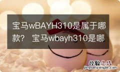 宝马wBAYH310是属于哪款？ 宝马wbayh310是哪一款