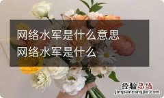 网络水军是什么意思网络水军是什么