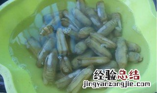 蛏子怎么清洗内脏 豆果 蛏子怎么清洗内脏