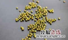 绿豆芽生产技术 绿豆芽生产技术是什么