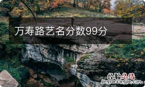 万寿路艺名分数99分