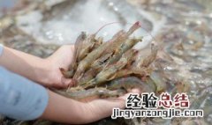 清理河虾步骤 清理河虾步骤推荐