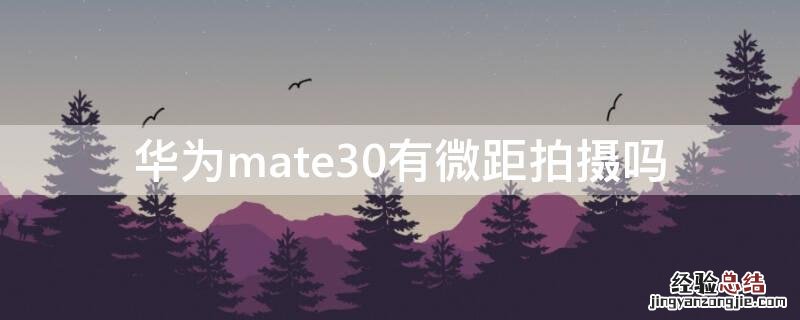 华为mate30有微距拍摄吗 华为mate30pro有微距拍摄吗