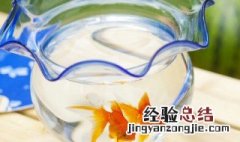 鱼缸水泵的安装方法 鱼缸潜水泵使用方法