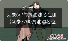 众泰z700汽油滤芯位置 众泰sr7的汽油滤芯在哪