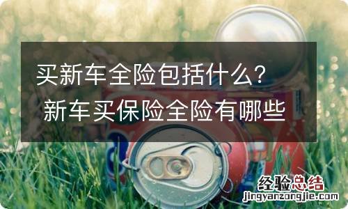 买新车全险包括什么？ 新车买保险全险有哪些