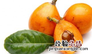 枇杷能放冰箱吗 枇杷能放冰箱吗?