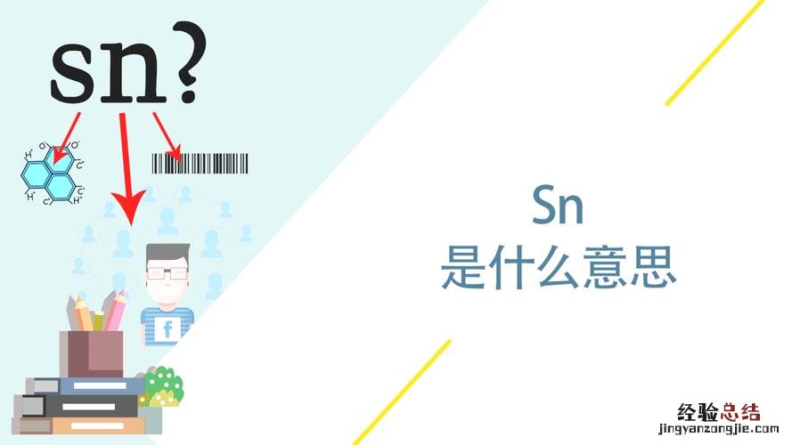 sn是什么意思啊