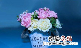 插花水里放盐还是糖 鲜花保鲜水里加什么