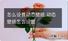 怎么设置动态壁纸 动态壁纸怎么设置