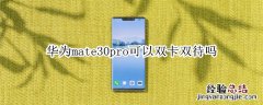 华为mate30pro可以双卡双待吗