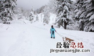 雪天怎么防止滑倒 雪天如何防止摔倒