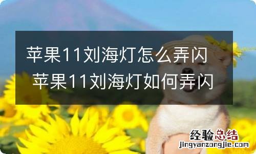 苹果11刘海灯怎么弄闪 苹果11刘海灯如何弄闪