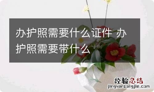 办护照需要什么证件 办护照需要带什么