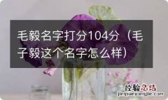 毛子毅这个名字怎么样 毛毅名字打分104分