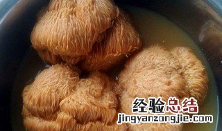 猴头菇泡发后的保存方法