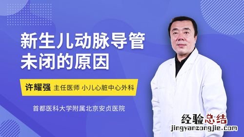 导管是什么意思