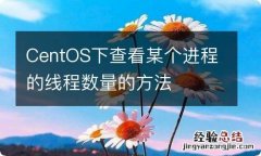 CentOS下查看某个进程的线程数量的方法