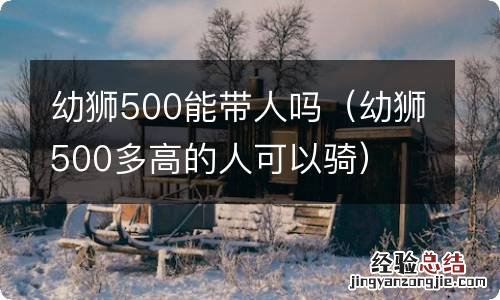 幼狮500多高的人可以骑 幼狮500能带人吗