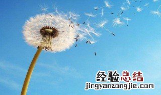 给老师的临别赠言