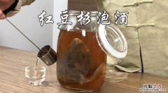 红豆杉泡酒配方