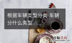 根据车辆类型分类 车辆分什么类型