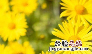 七月二十日是什么日子 七月二十日节日介绍