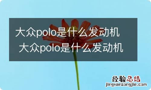 大众polo是什么发动机 大众polo是什么发动机的