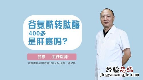 谷氨酰基转移酶是什么