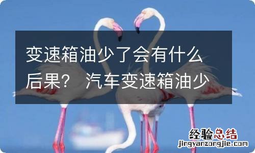 变速箱油少了会有什么后果？ 汽车变速箱油少了会怎么样