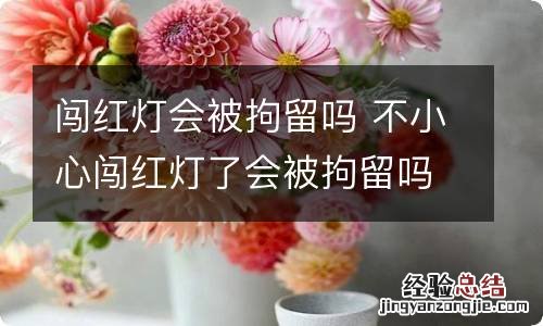 闯红灯会被拘留吗 不小心闯红灯了会被拘留吗?