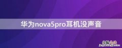 华为nova5pro耳机没声音怎么回事 华为nova5pro耳机没声音